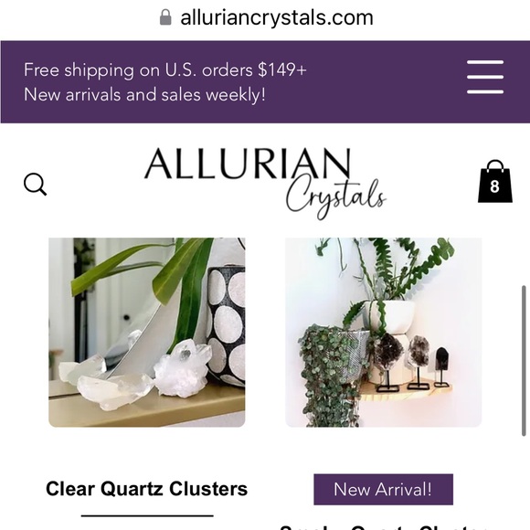 Meet your Posher, Priscilla - Picture 6 of 7